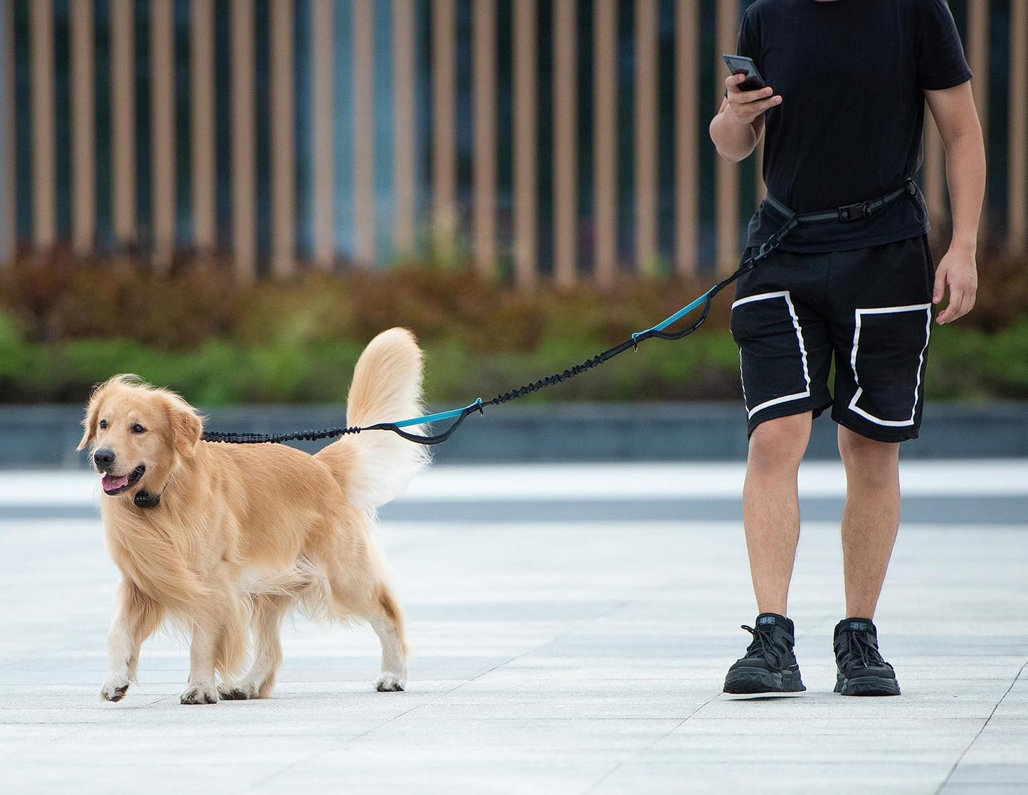 Puppsafe Hands Free Dog Leash