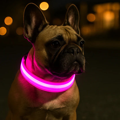 Puppsafe LED Dog Collar