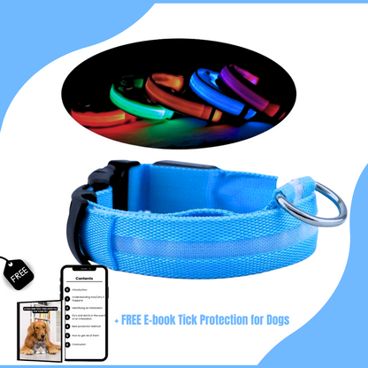Puppsafe LED Dog Collar