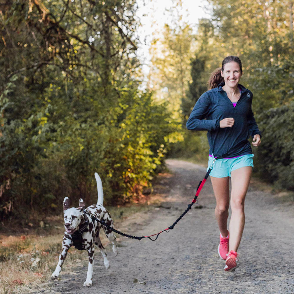 Puppsafe Hands Free Dog Leash