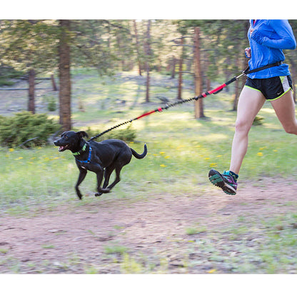 Puppsafe Hands Free Dog Leash