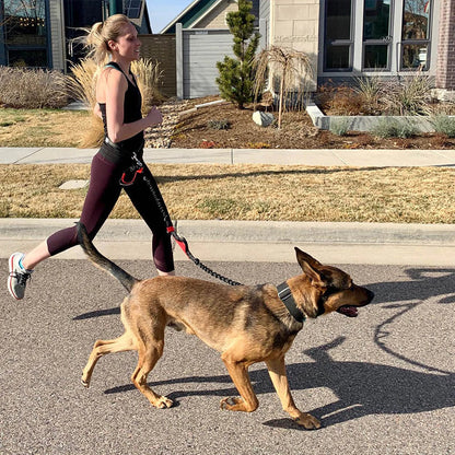 Puppsafe Hands Free Dog Leash